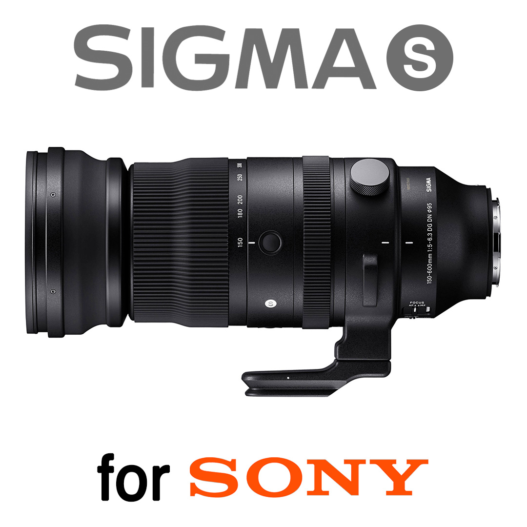 Sigma 150-600mm F5-6.3 DG DN OS Sports lens for Sony E